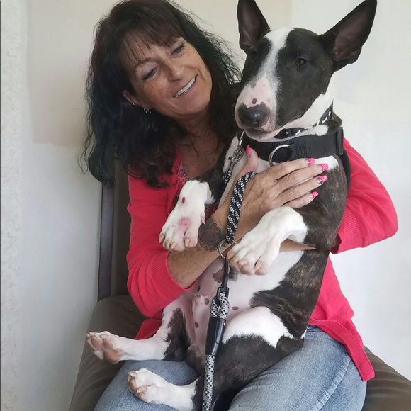 Meet your Posher, Jodie - Picture 1 of 1